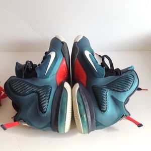 lebron 9 swingman